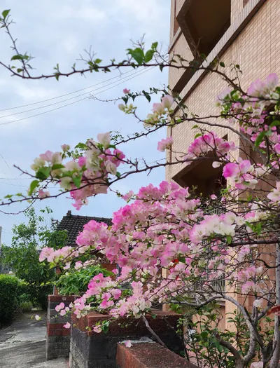 不管那顆星星逆了，都是心情逆