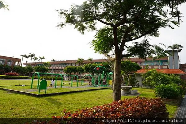 （側柏並木後，左側校景，遠處就是教學大樓貞學樓）
