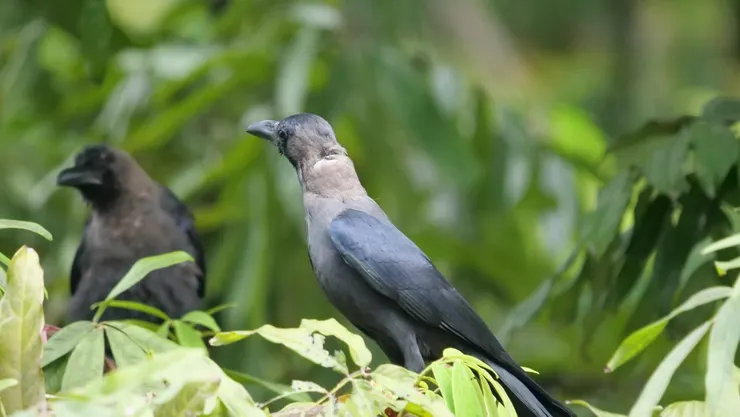 其實是有不同層次的黑色