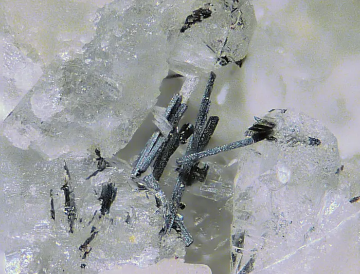 來自Pollone Mine的硫銻鉛銀礦Sterryite