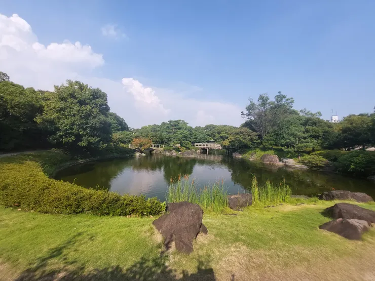 從稍微高的地方拍真的很漂亮