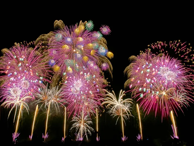 Source：Shutterstock