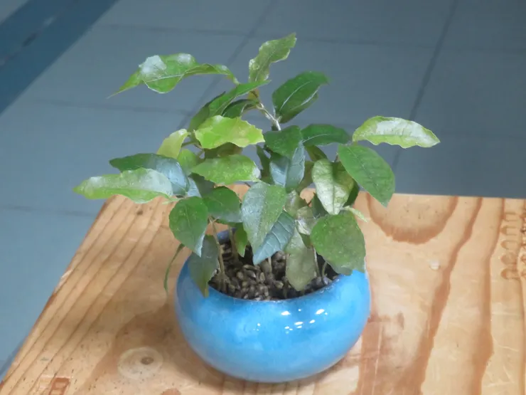 新店崇光社大112.09.13