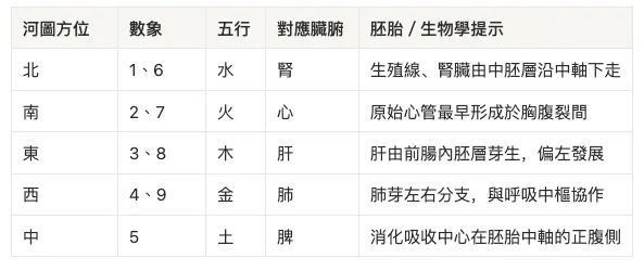 河圖與臟腑的對應