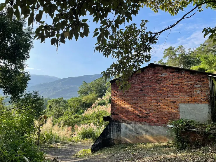 鑽出香圓窩山前途一片光明