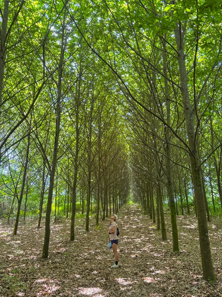 感謝天公伯ㄚ～～西班牙朝聖天天都大晴天！