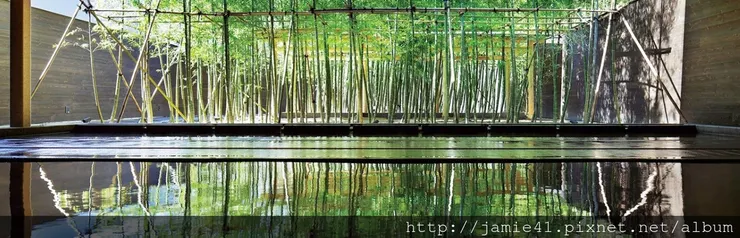 以上照片來自於官網