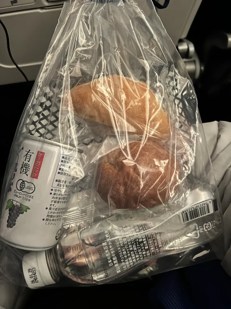 原以為日系航空有日式餐點吃，但現在夜晚的航班沒有消夜吃了，上機發個小點心就關燈讓你睡覺