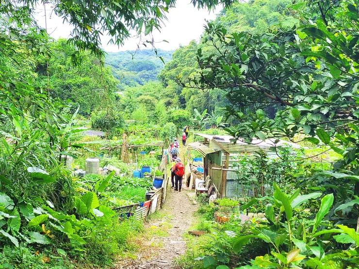 ▲下切至深澳坑路，由全家便利店旁巷子前往五坑山。