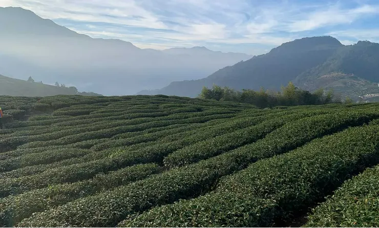 圖片引用: https://smiletaiwan.cw.com.tw/article/4681