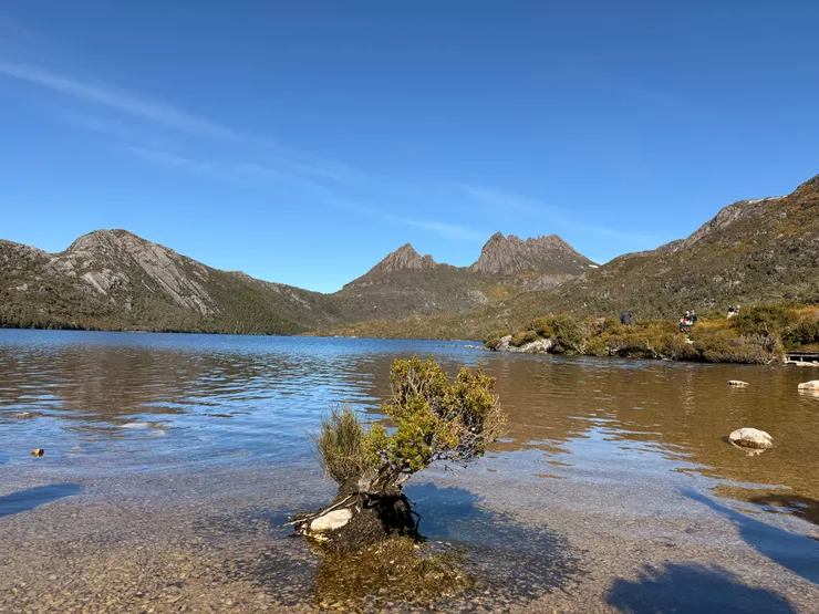 Dove Lake (Boatshed)