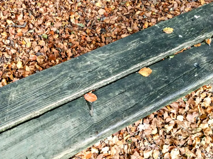 棄我去者，昨日之日不可留。