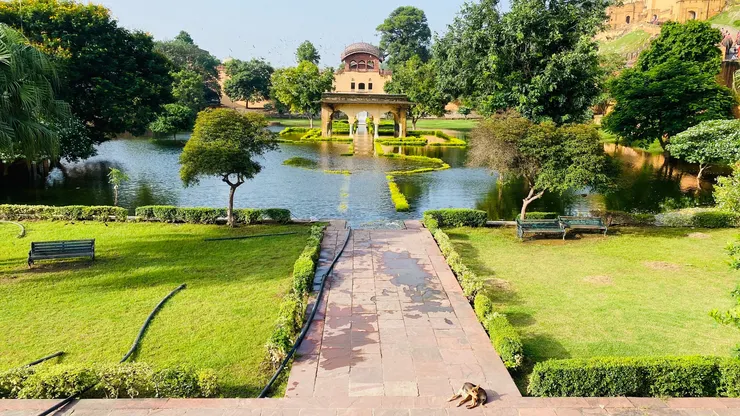 琥珀堡 Amber Fort(搭大象的旁邊)
