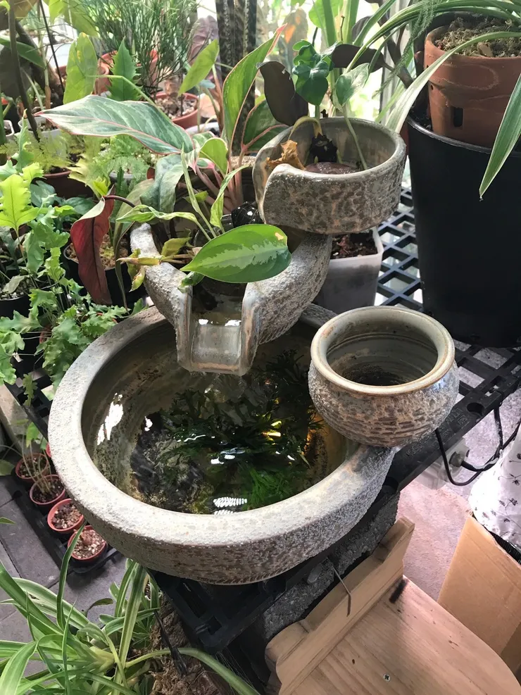 時光匆匆如流水(朝顏屋一角)