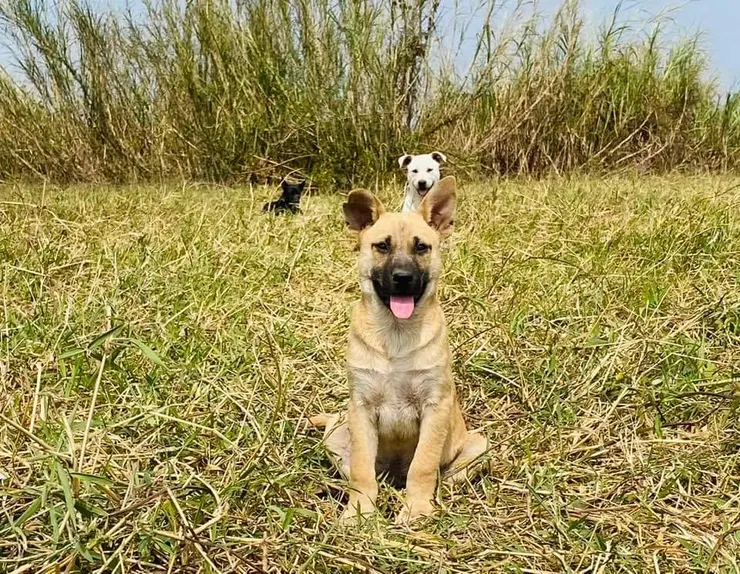 黃俐雅＠facebook