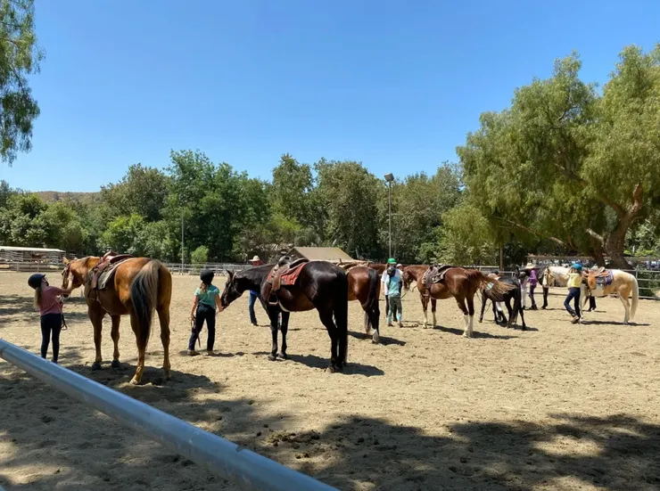 圖片來源:Country Trails & Riding School官網