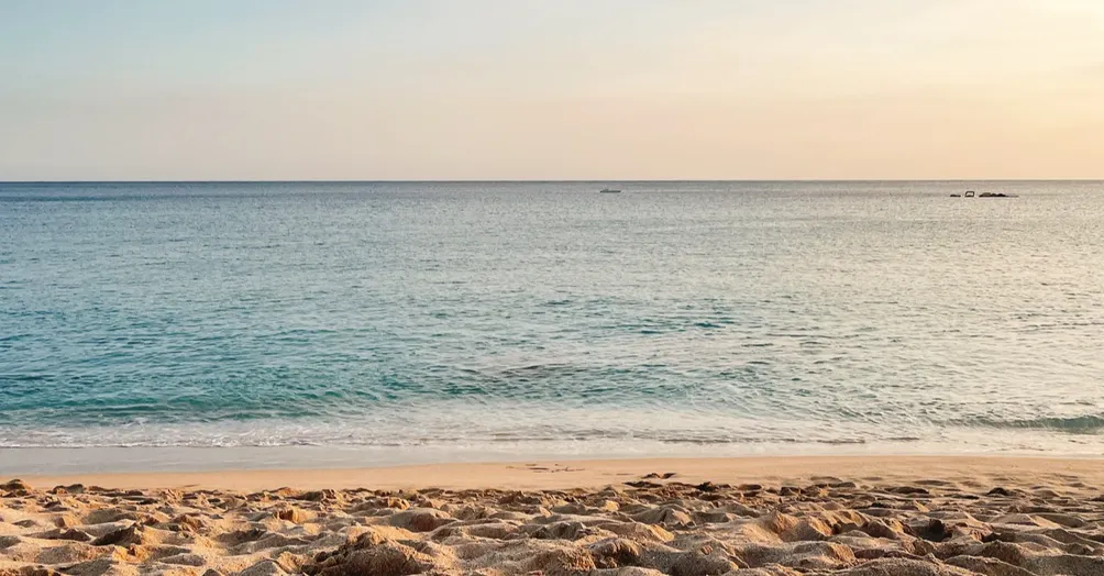 樂興之時 - 聆聽的旅途，與隨筆