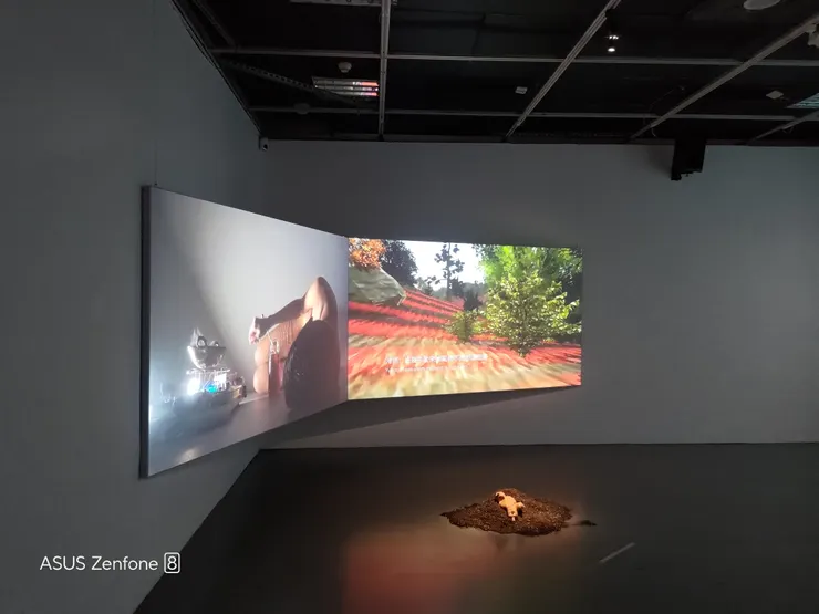 林安琪作品《她來自_社》當代藝術館