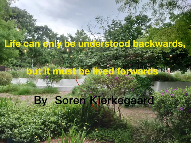 這句話是連醫生引用哲學家名句,分享他對人生的領悟