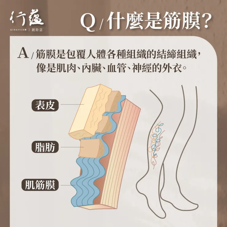 行蘊QA｜什麼是筋膜？