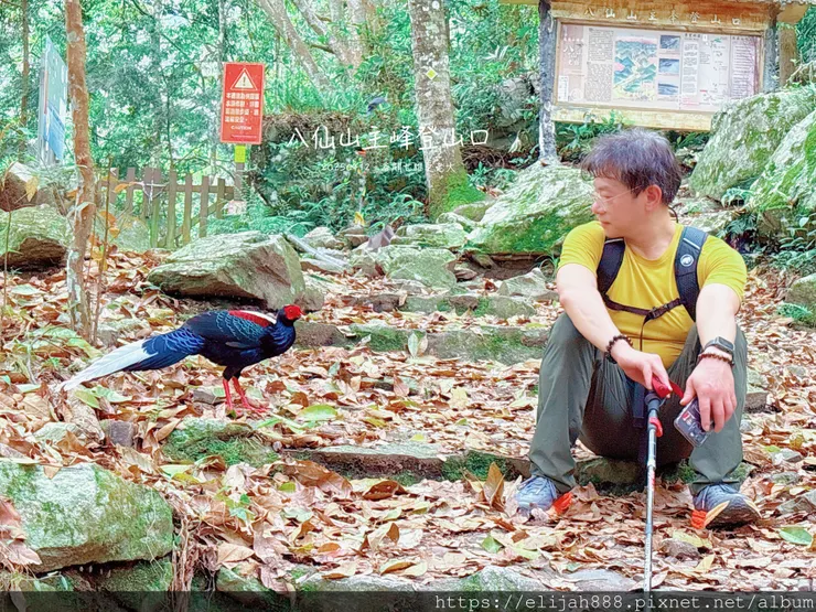 【谷關健行/住宿】谷關七雄老大。海拔2366公尺八仙山主峰。