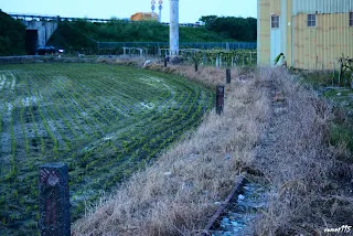 往過溝方向拍