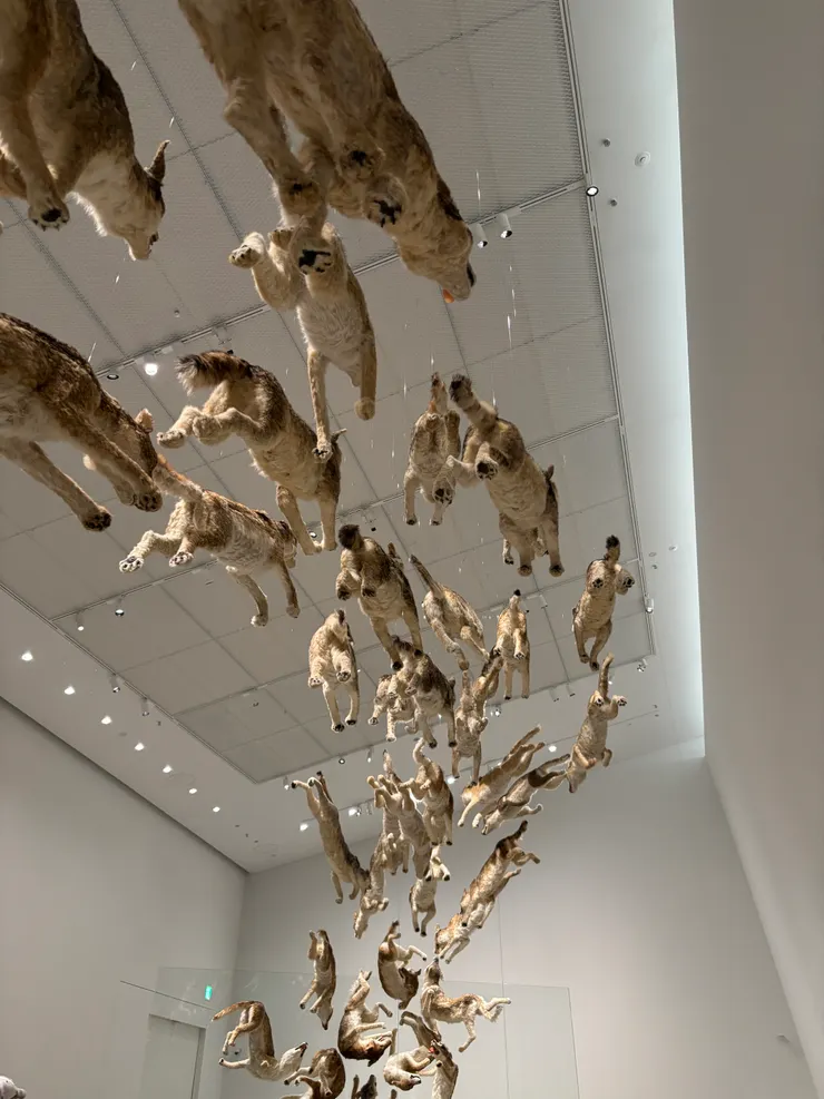 直島新美術館｜蔡國強《Head On》