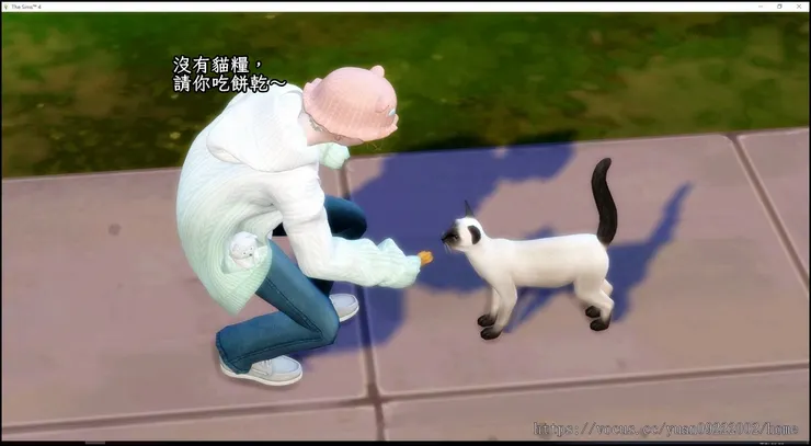 這挑戰唯一的缺點就是沒法養貓……ＱＱ