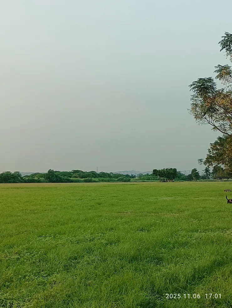 平蕪無邊天地闊