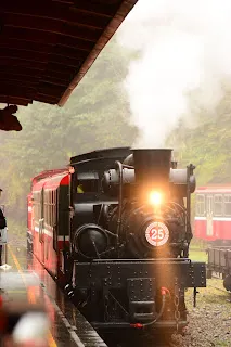 兩列車先後回到阿里山車站