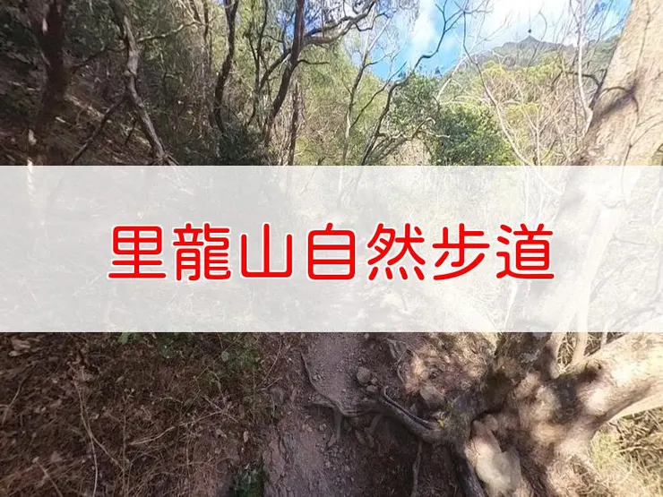 【屏東】小百岳-里龍山自然步道 | 全長：4公里 | 難度：中