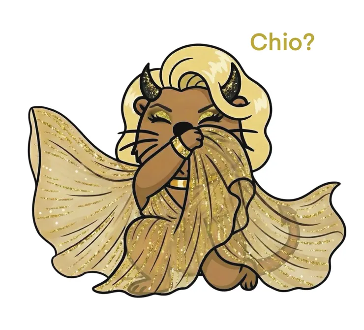 Chio 在新加坡是漂亮的意思