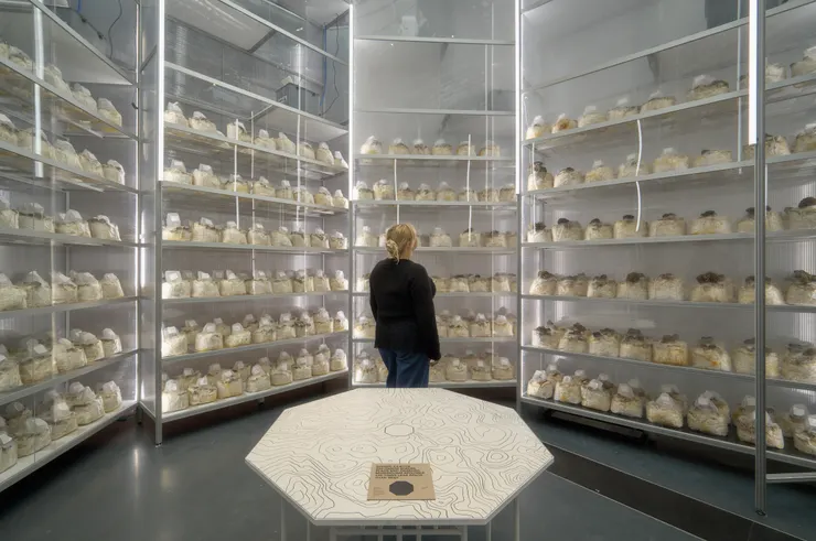 Mushroom Tower (Ph: Anders Sune Berg)