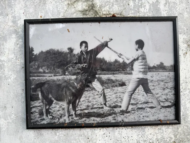 好有感的老照片