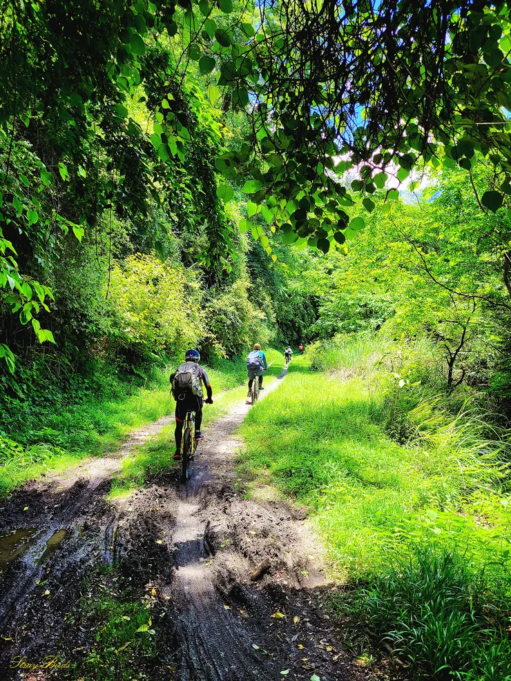 行經泥濘路要小行通行，以免犁田。