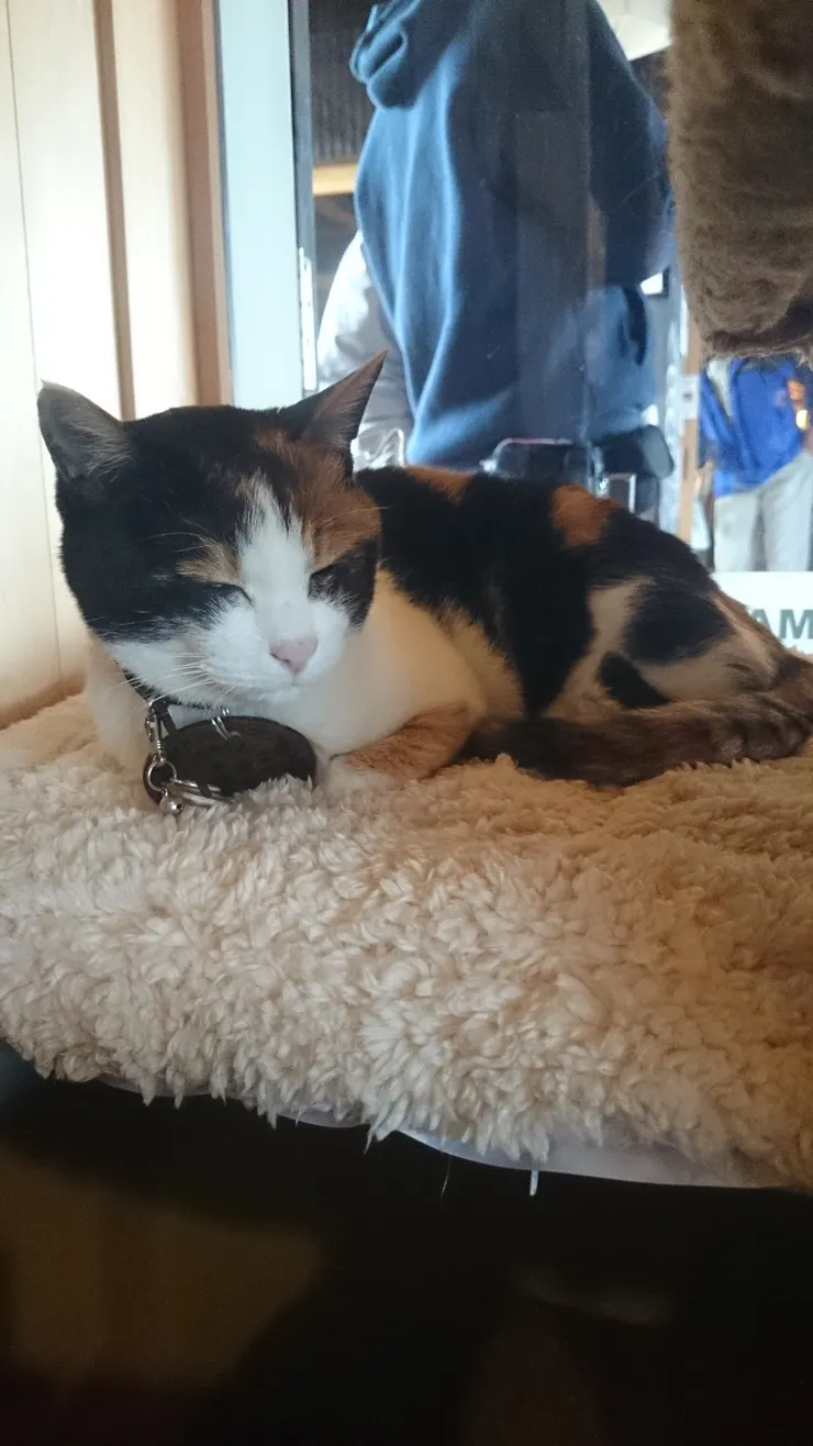 第一代小玉站長