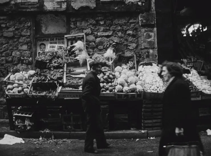 Diary of a Pregnant Woman, 1958