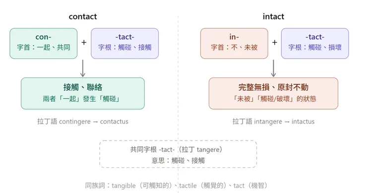 圖片創作：Jennifer設計，AI生成