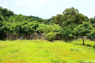 從另一邊所見的樣貌