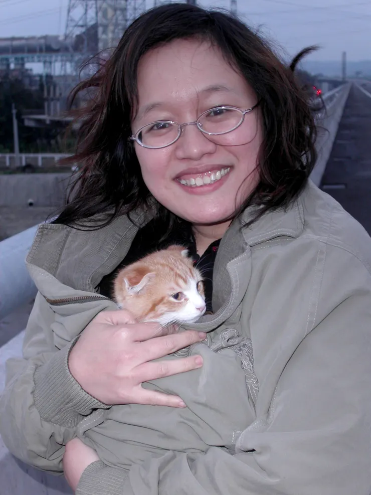 幼貓期的黃小咪(李建崑攝影)