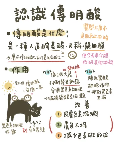 認識傳明酸(Part 1)