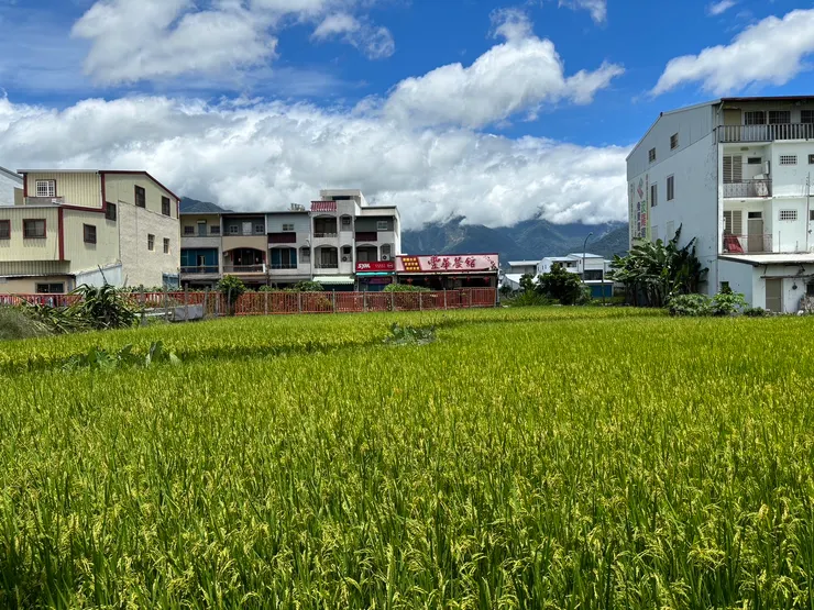 池上，我們會再回來的！