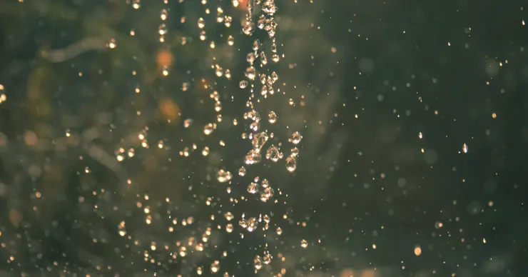 Photo by John Wilson on Unsplash