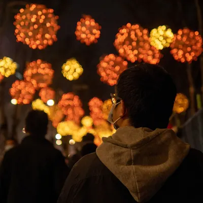 沒有我的奇美拉的沙龍