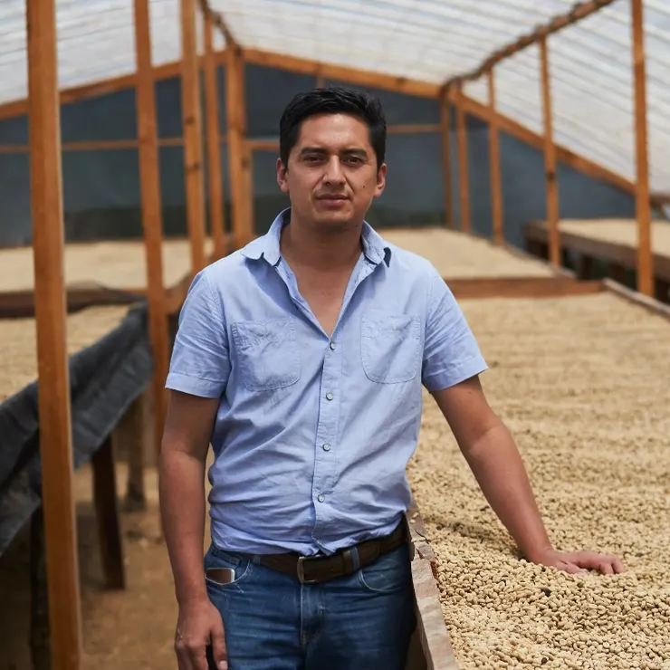 聖文森處理廠為宏都拉斯數一數二的咖啡處理廠，使用市場少見的厭氧蜜處理