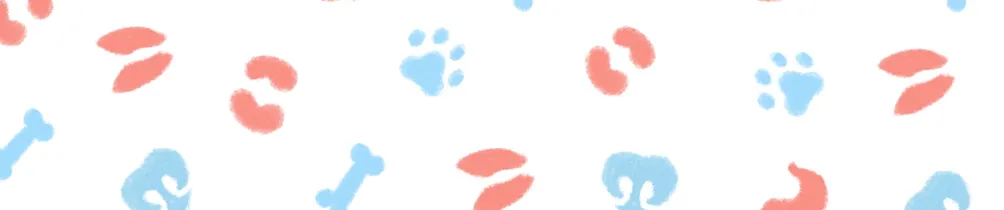 獸醫心知室的沙龍