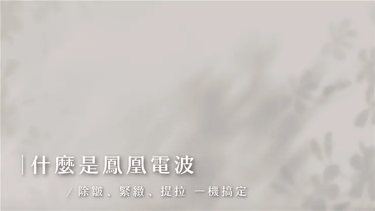 鳳凰電波是什麼？功效、原理、適用族群一次看