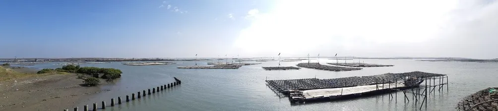 散步老人的沙龍