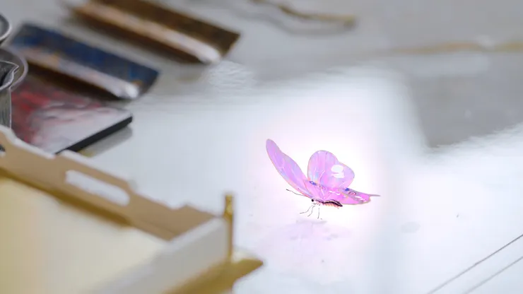 一開始翅膀上有明顯的傷口