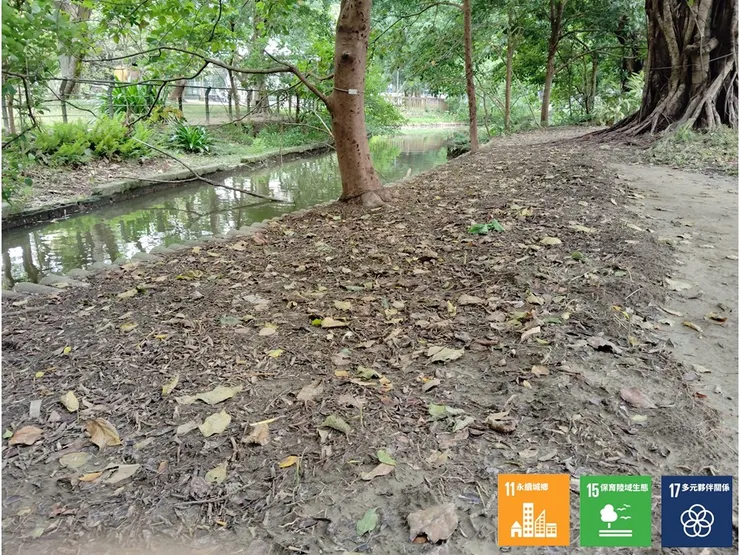 施作前提早清空的右岸裸域